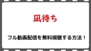 映画 銀魂 実写版 のフル動画配信を無料視聴する方法 Huluでは見れない Snopommedia