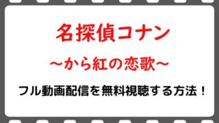 映画 名探偵コナン漆黒の追跡者 のフル動画配信を無料視聴する方法 劇場版 Snopommedia