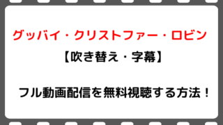 映画 アニーインザターミナル のフル動画配信を無料視聴する方法 吹き替え 字幕 マーゴットロビー主演 Snopommedia