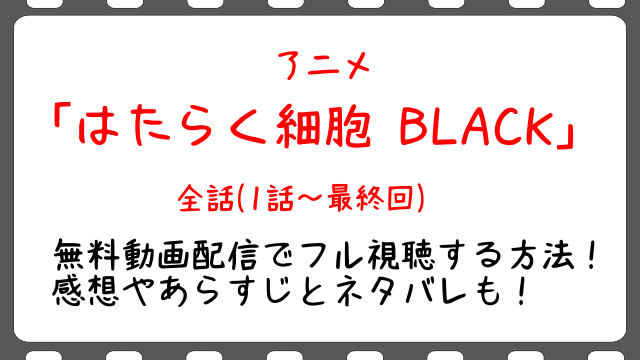 ハイキュー4期 アニメ の放送地域や放送局は 関西や大阪と愛知も調査 Snopommedia